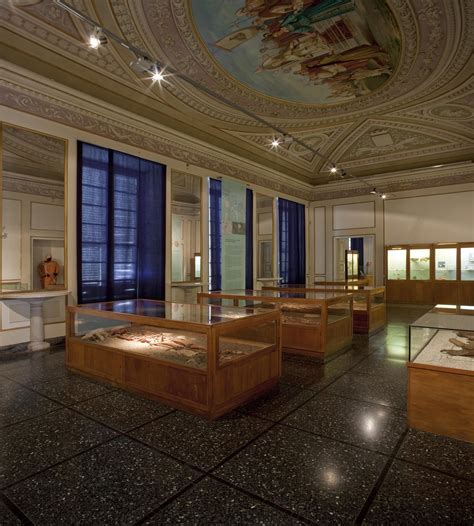 Ligurian Archaeological Museum 